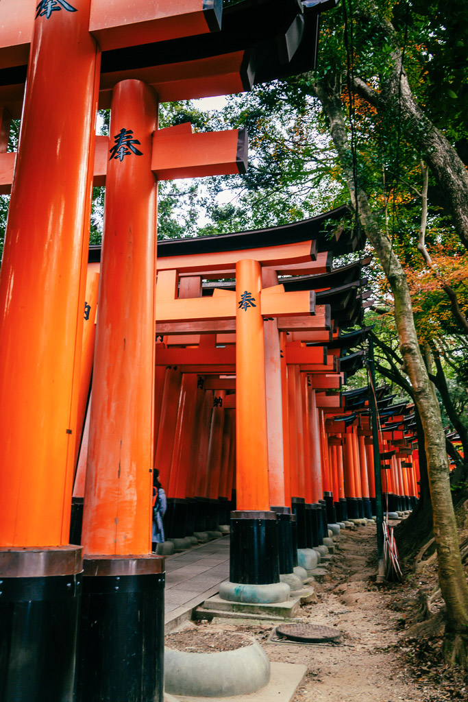 portes torii de près