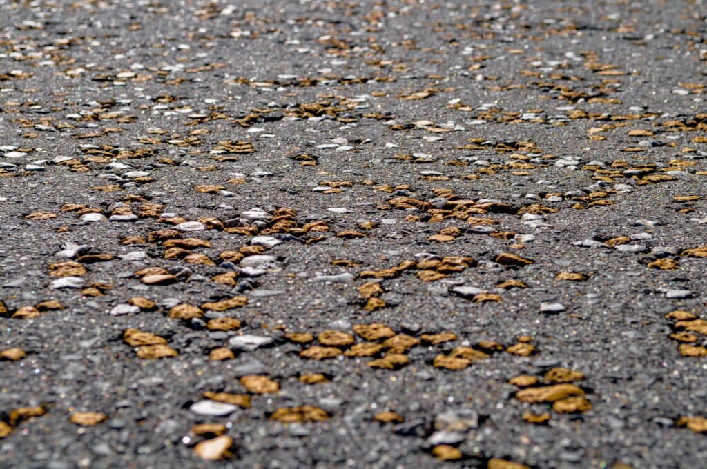 détail du sol le long de la nakasendo