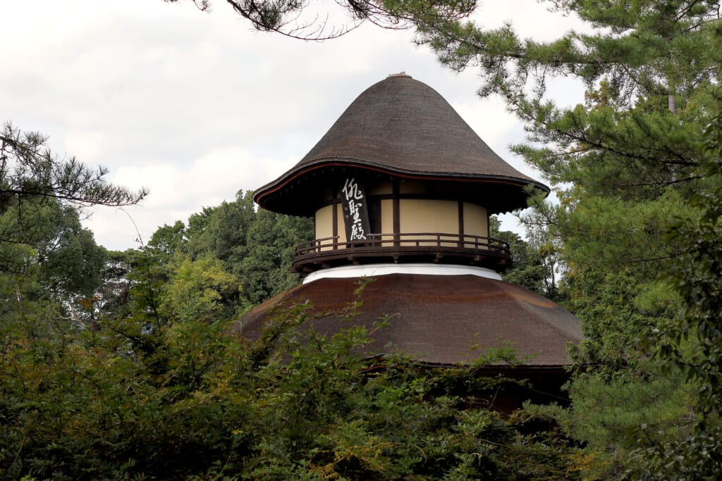 Un toit de bâtiment en chaume entouré d'arbres.