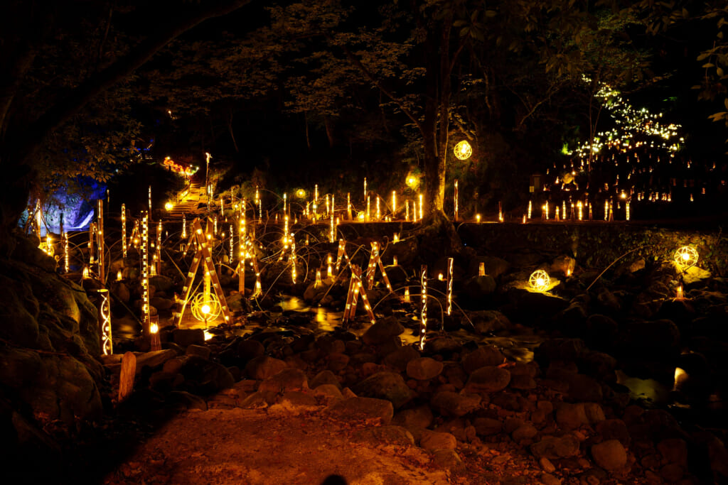 dans la nuit des lanternes de bambous illuminent la forêt