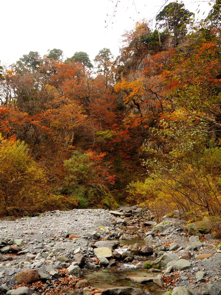 Paysage automnale le long d'un cours d'eau