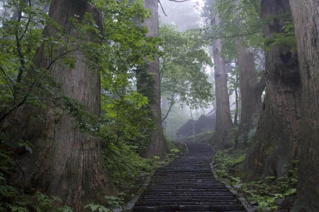 Marches de pierre sur le mont Haguro