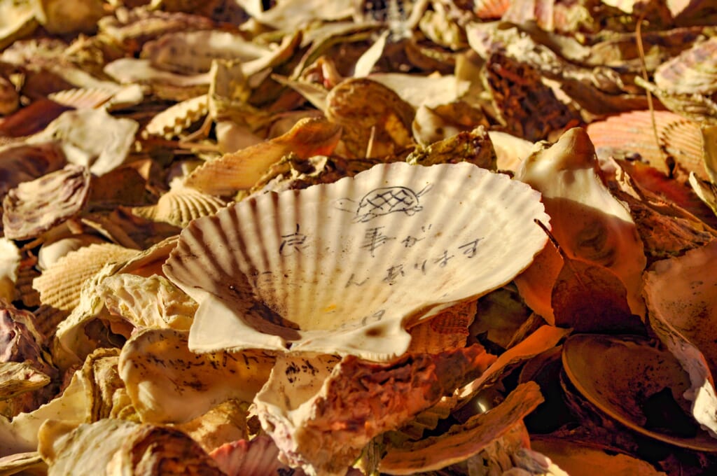 Coquillage à l'effigie de tortue au sanctuaire de Ryugu