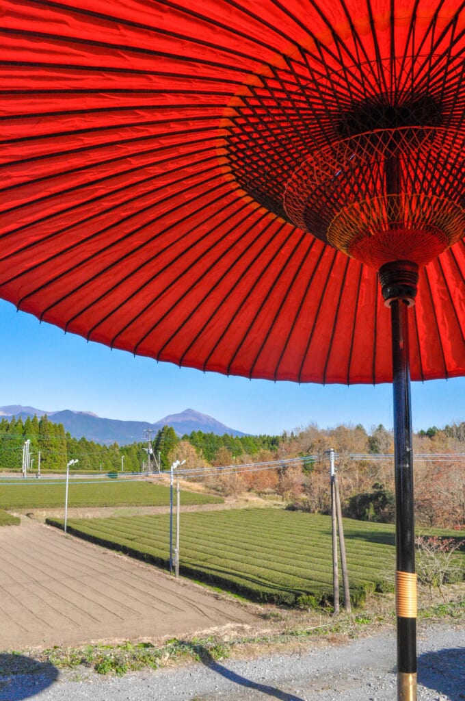 Petite pause sous l'ombrelle