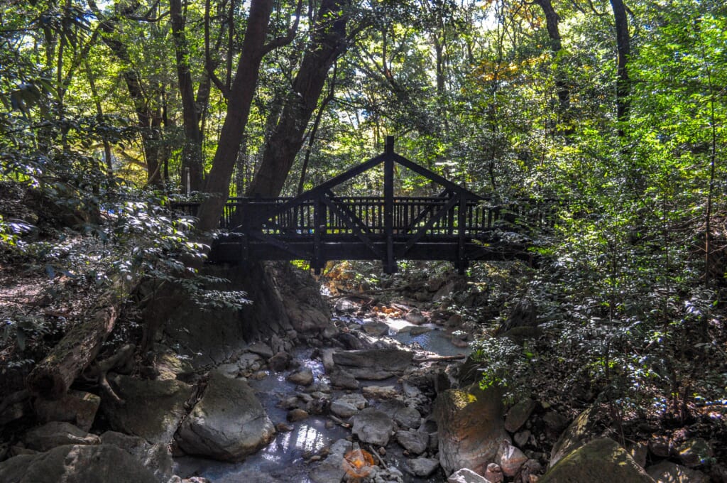 Thérapie forestière à Kirishima