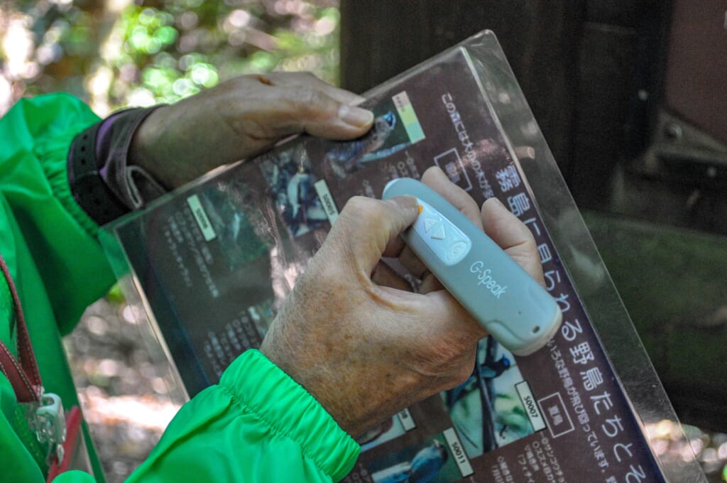 Enregistreur vocal pour découvrir le chant des oiseaux