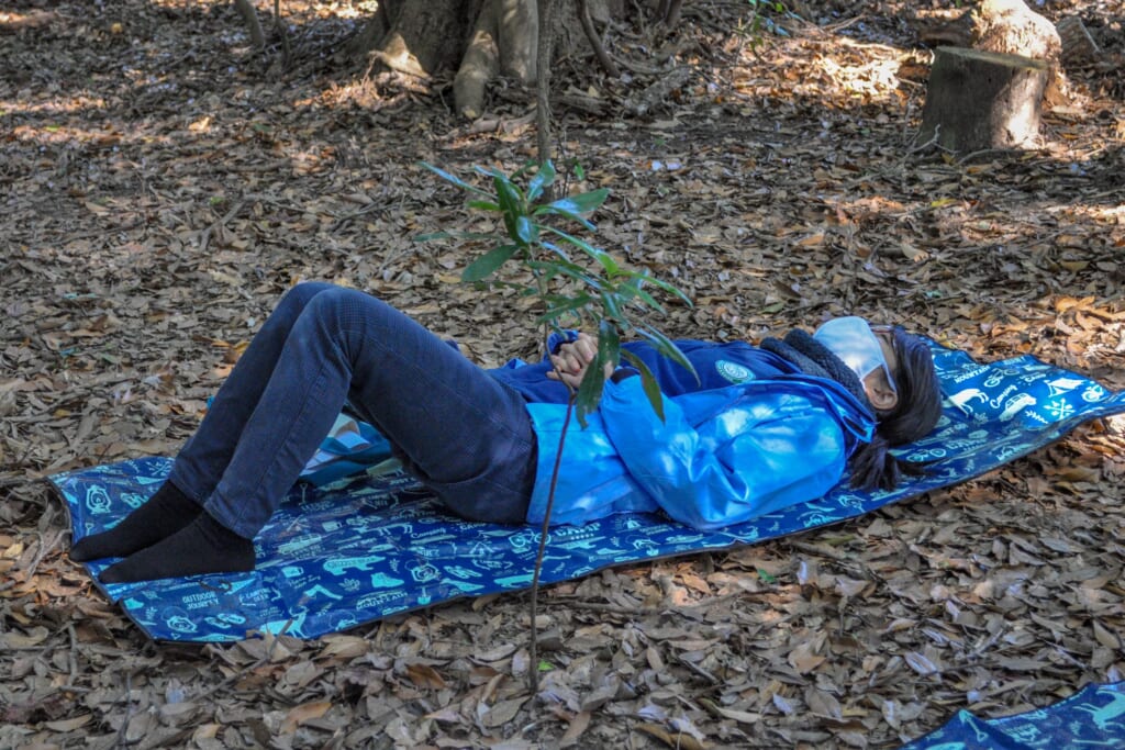 Expérience allongé en pleine forêt