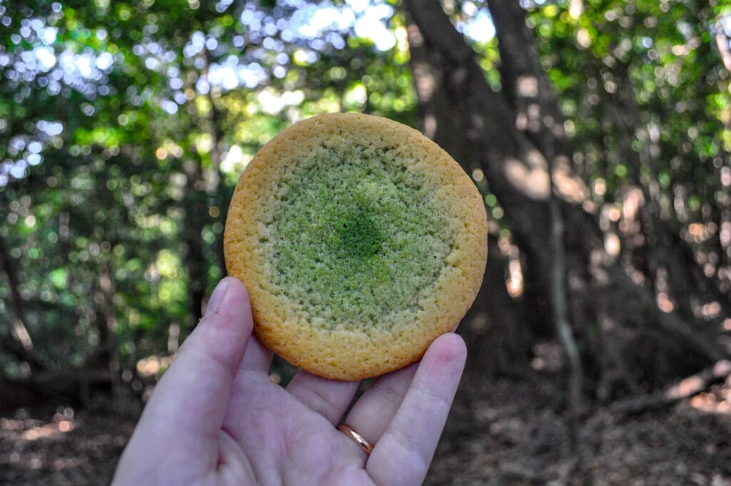 Pause gourmande en pleine forêt