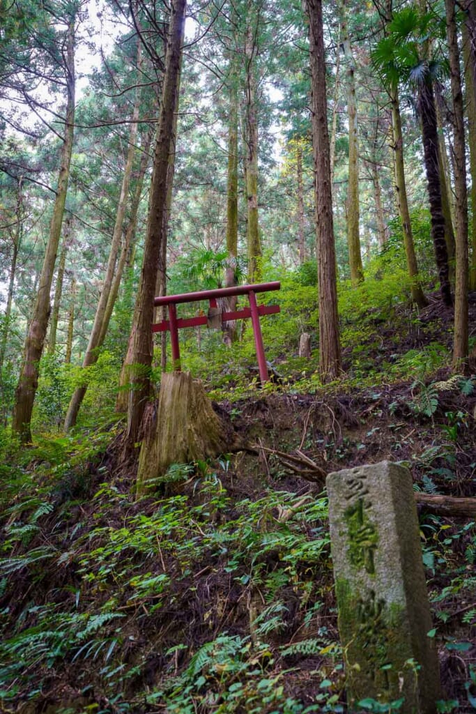 un torii en bois dans une forêt au Japon
