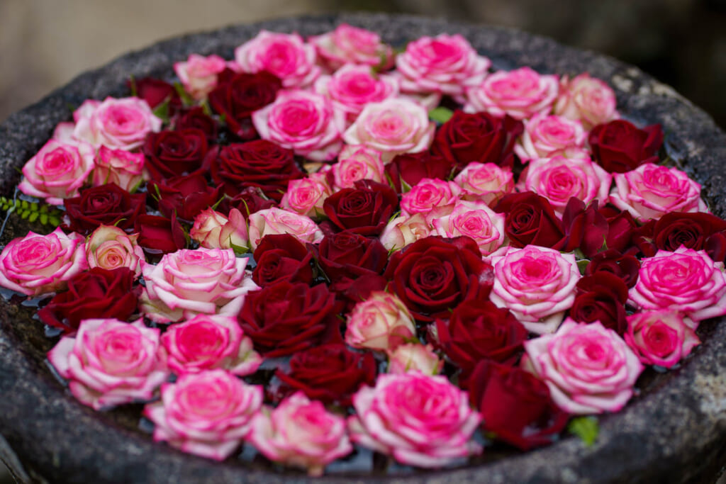 des fleurs dans un sanctuaire au Japon