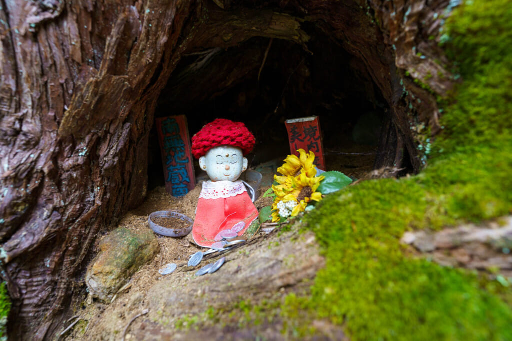 De petites statues bouddhistes sous les racines d'un arbre