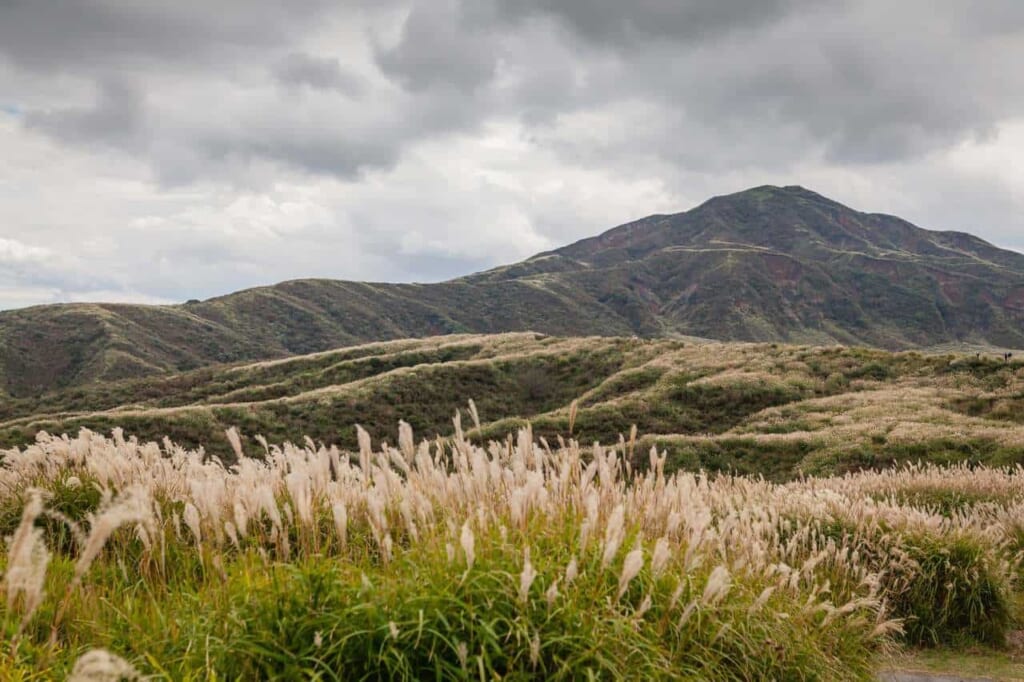 Paysage verdoyant au parc national d'Aso-Juku sur l'île de Kyushu
