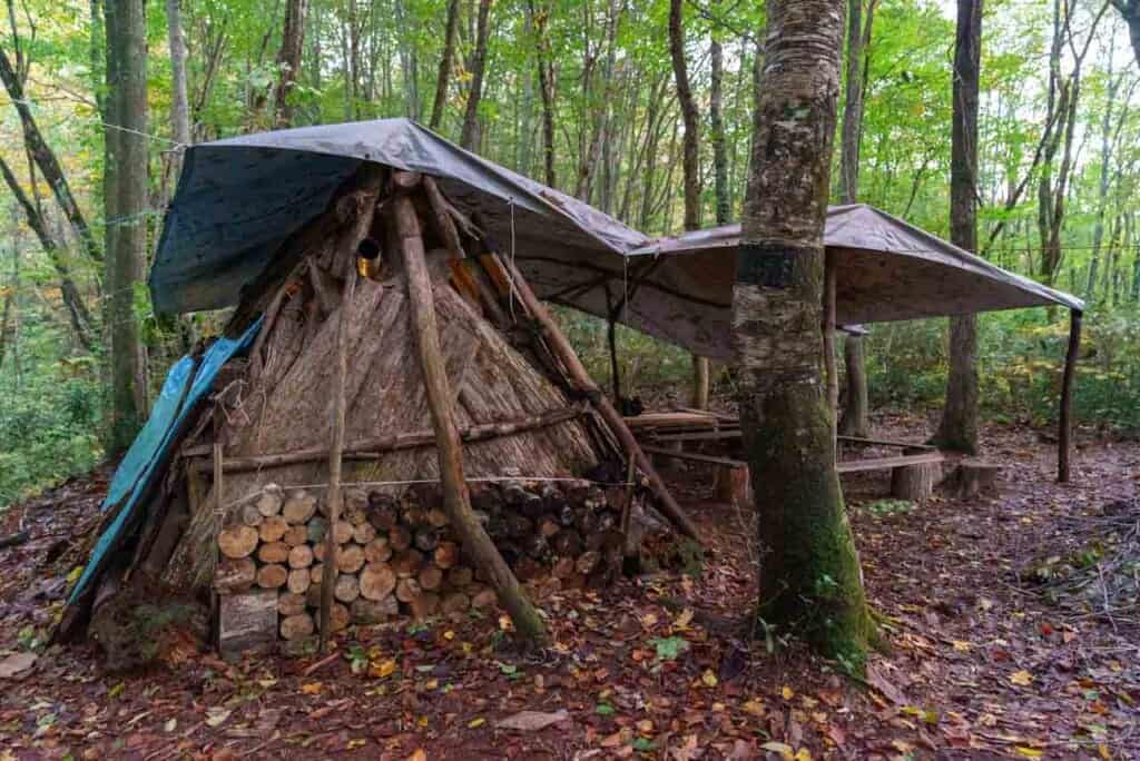Structure d'une cabane en rondins de style Matagi dans une forêt japonaise