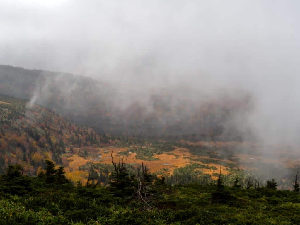 Randonnée vers des marais au mont Hakkoda dans la préfecture d'Aomori