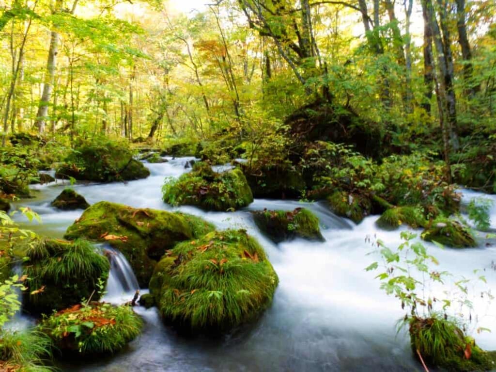 La rivière Oirase dans la préfecture d'Aomori au Japon