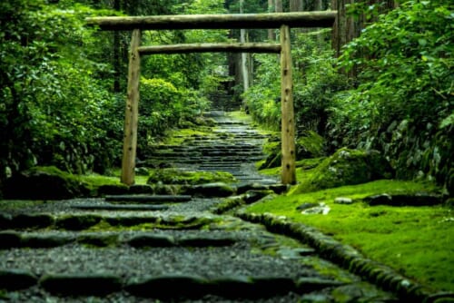 Un voyage spirituel et culinaire entre Tokyo et Kyoto avec le Hokuriku Arch Pass