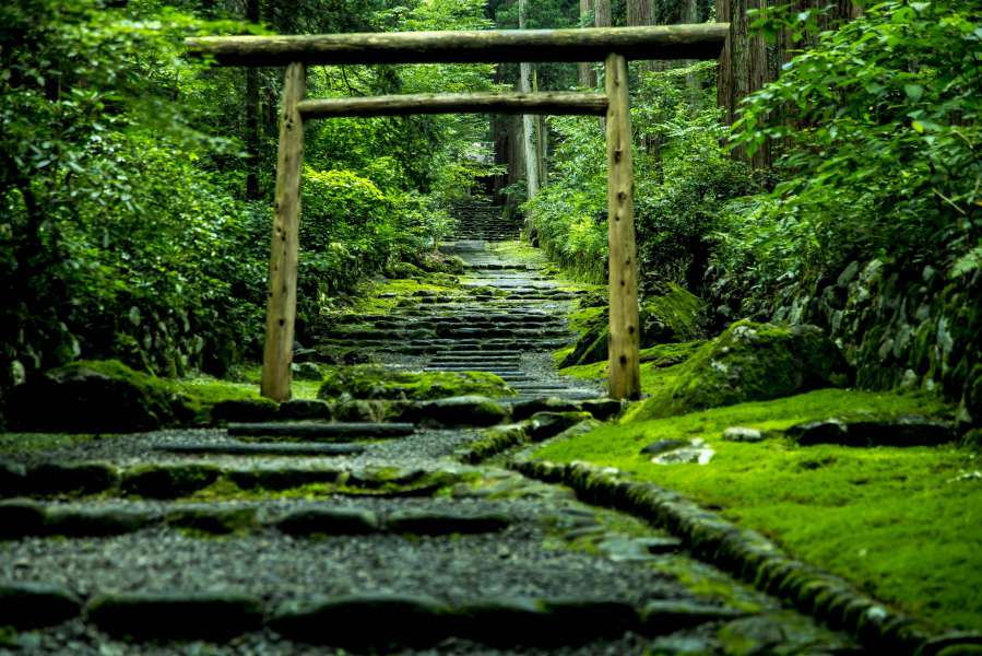 Un voyage spirituel et culinaire entre Tokyo et Kyoto avec le Hokuriku Arch Pass