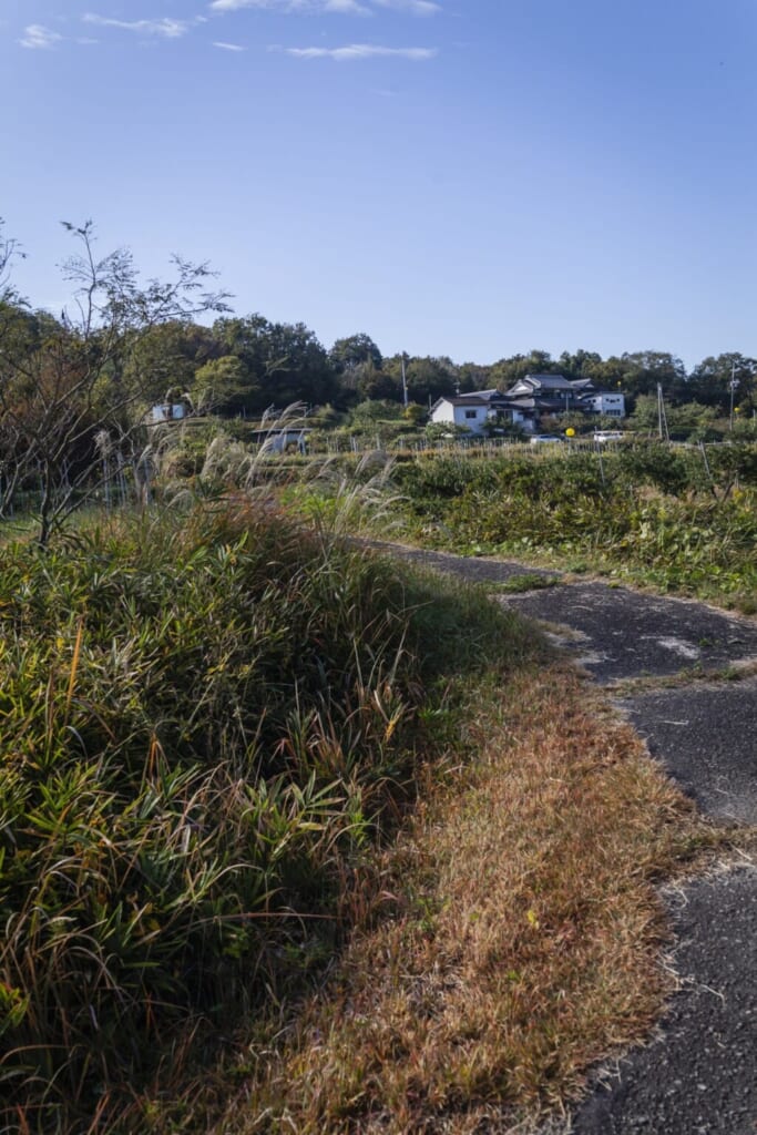 champs d'une ferme japonaise à Okayama