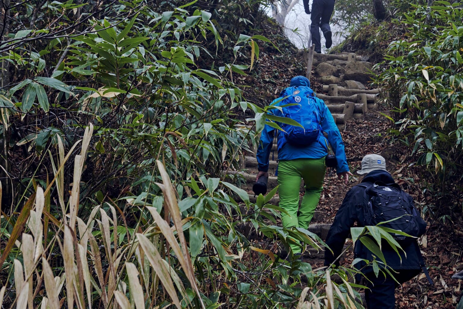 Randonnée à Fukushima