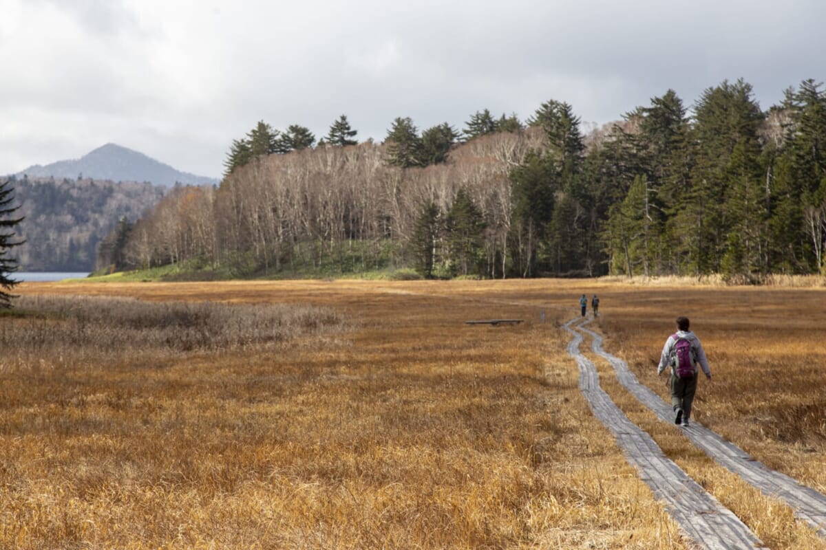 Exploration du Parc National d'Oze dans le sud de Fukushima.