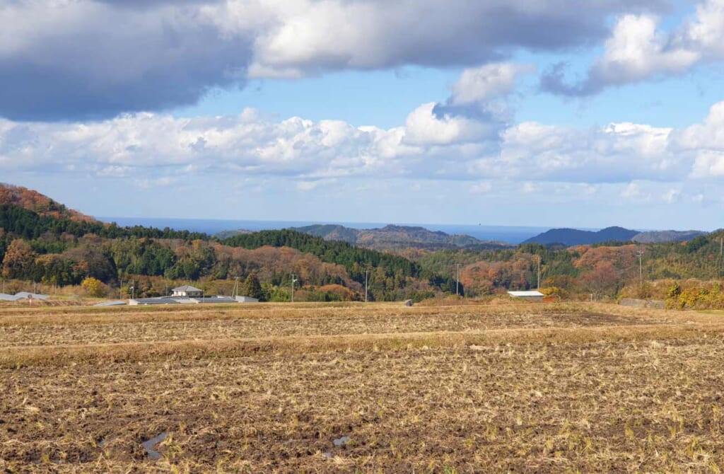 Une plaine dans la campagne japonaise