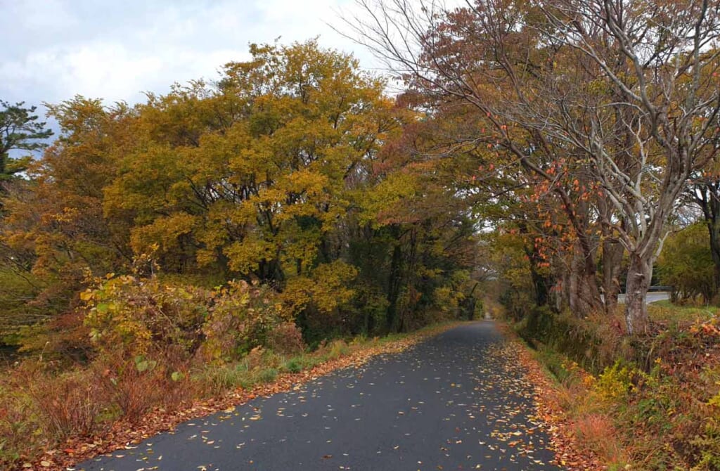 Route de campagne au Japon durant l'automne