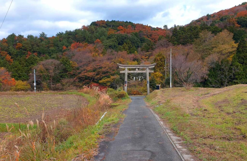 Petite route japonaise menant à un grand torii dans les montagnes