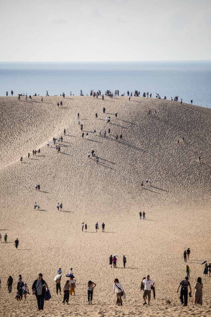 Les dunes de Tottori devant la mer du Japon