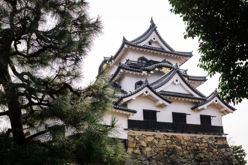Le château japonais de Hikone à Shiga