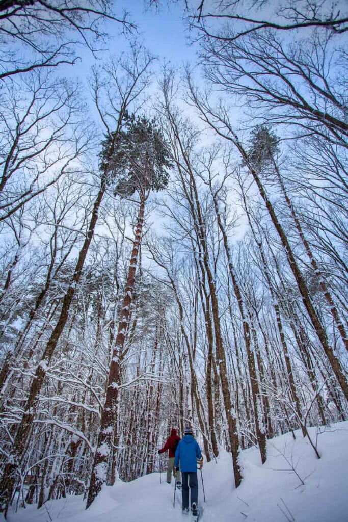 Deux personnes marchent sur la neige à l'aide de raquettes aux abords du lac Tazawa