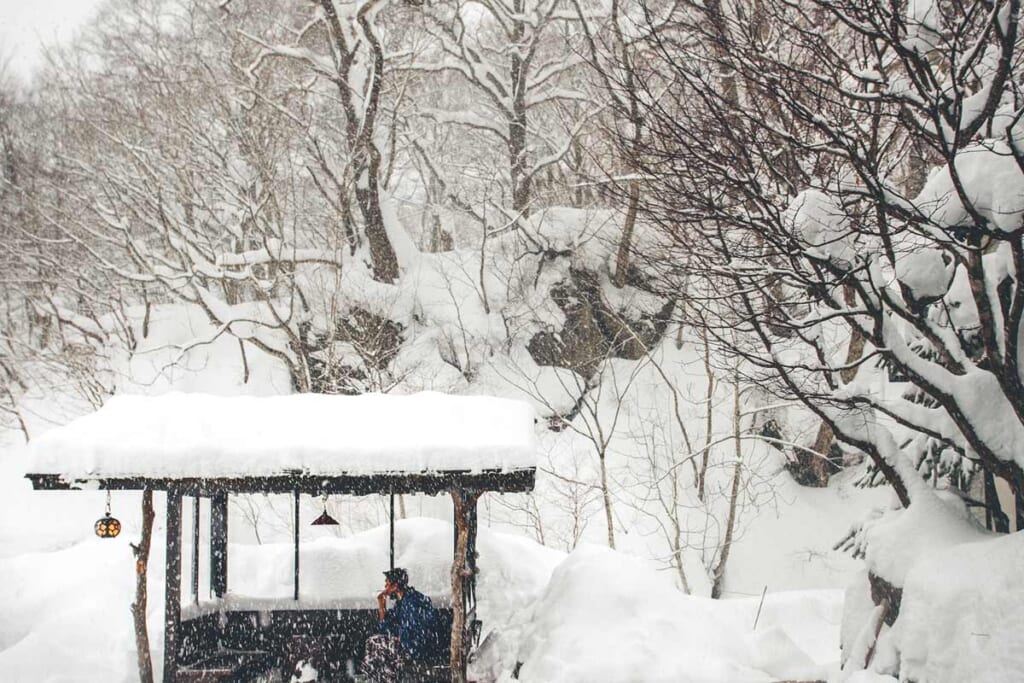 Une personne assise sous un abris au milieu d'une forêt sous la neige