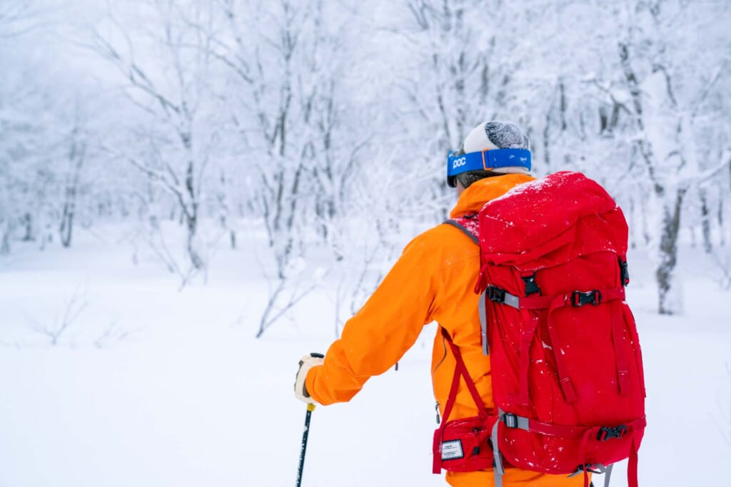 Homme de dos en ski devant une étendue de neige