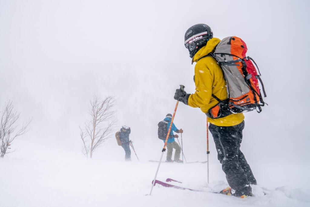 Un groupe de skieurs dans le parc national de Towada-Hachimantai