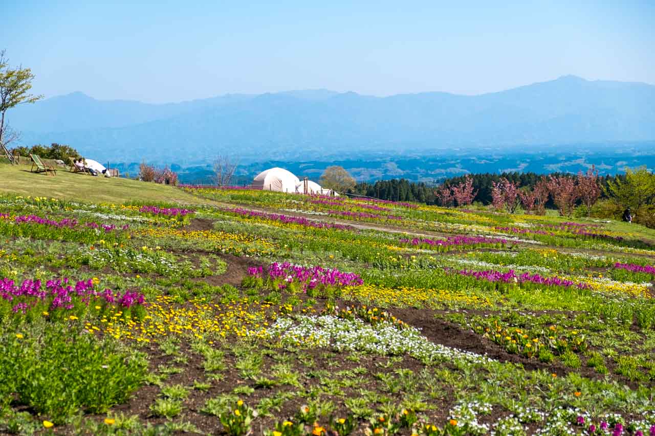 La haute chaîne de montagnes bleues vous invite à vous installer sur les chaises longues du parc pour contempler le paysage.