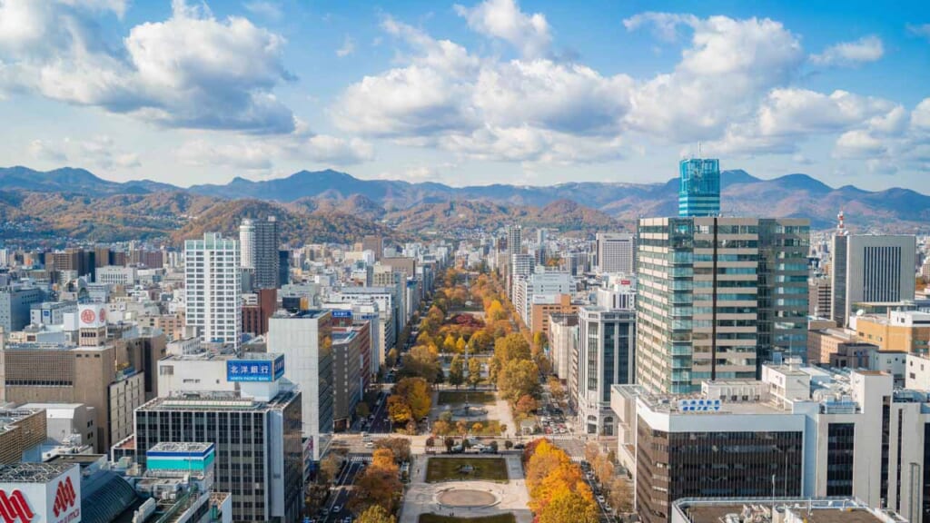 Sapporo vue depuis les hauteurs de la tour de Sapporo en pleine journée