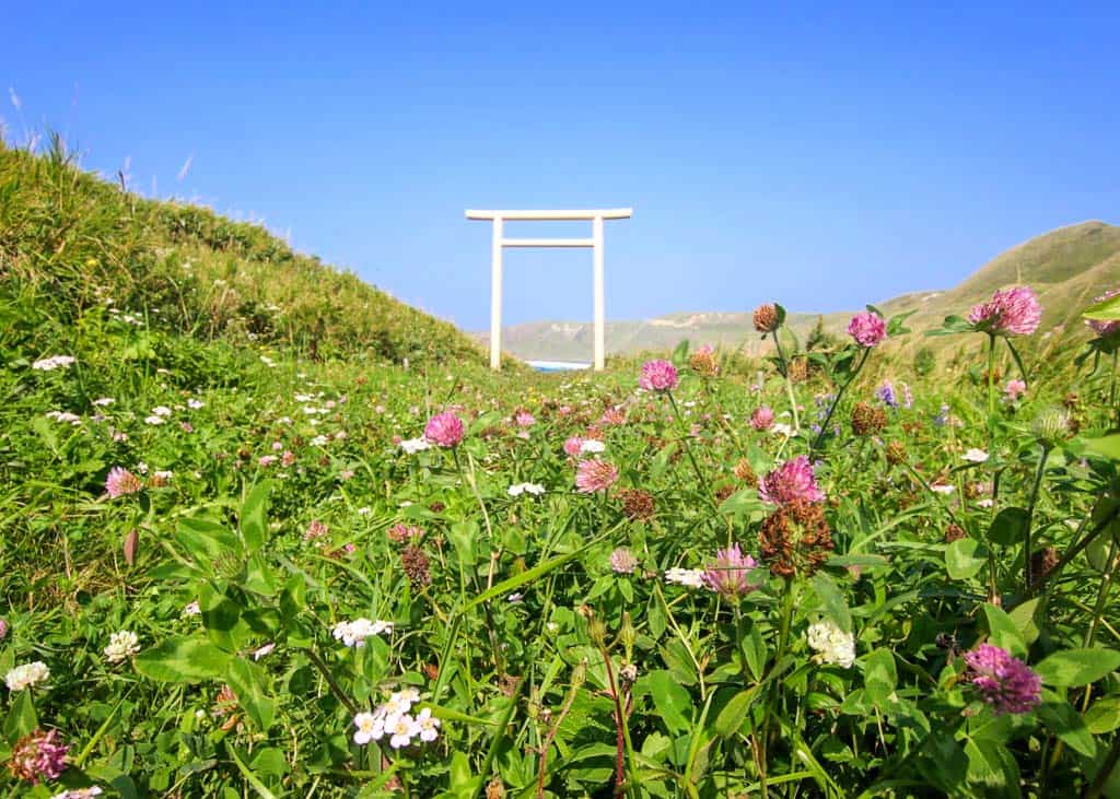 Un torii japonais sur une plaine luxuriante