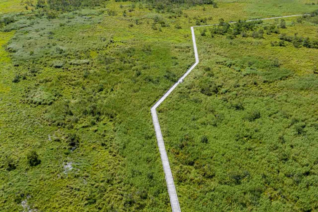 Une passerelle en bois traversant un parc national japonais vue du ciel
