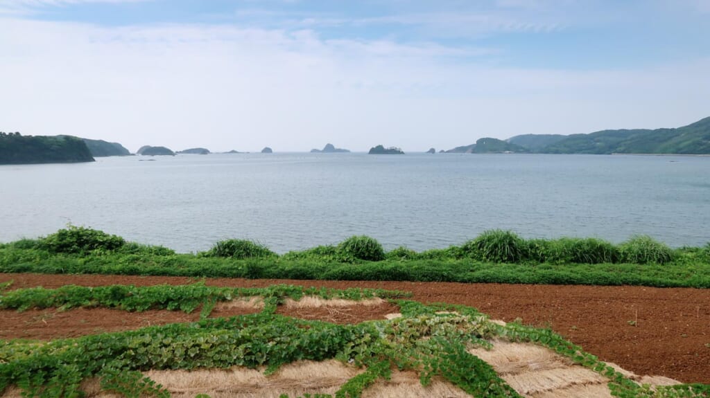 Baie de Yunomoto. Bord de mer sur la côte ouest d'Iki.