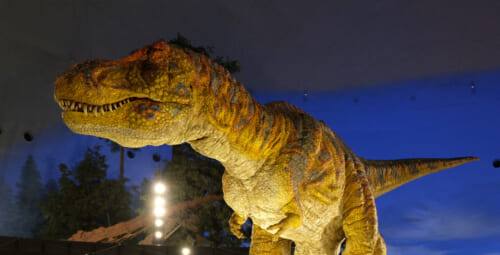 Musée des dinosaures à Fukui