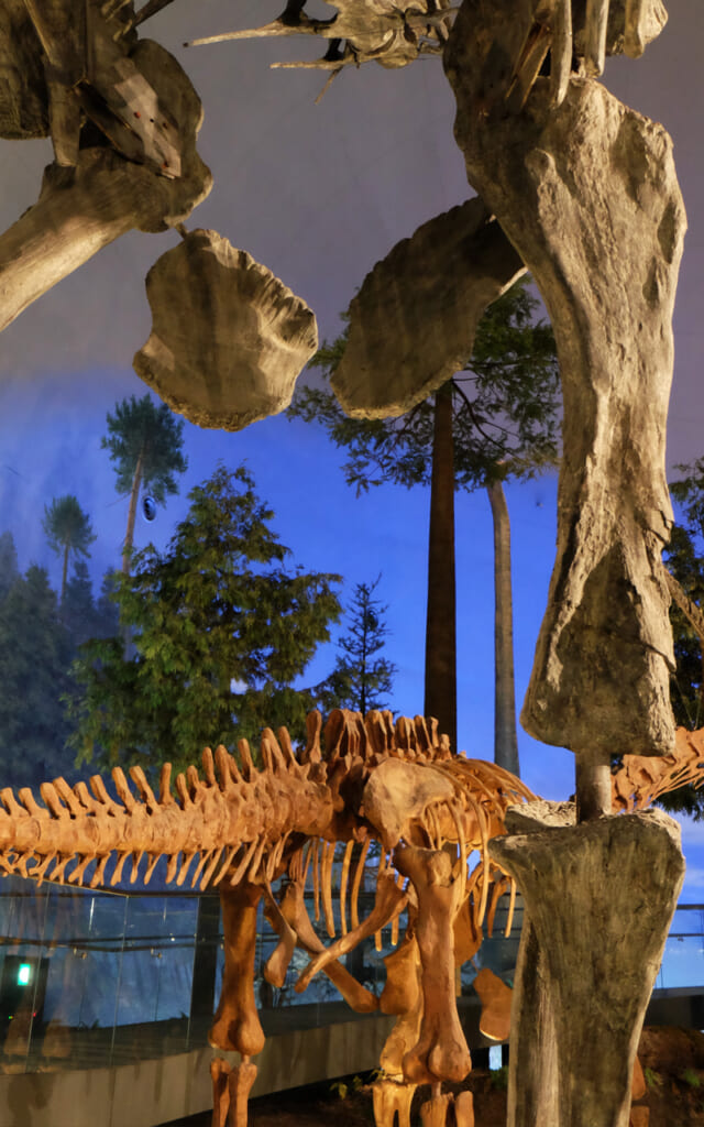 Le musée des dinosaures à Fukui, parfait pour profiter du Kansai en famille