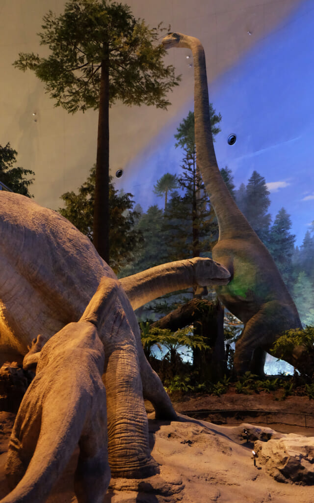 Le Kansai en famille au musée des dinosaures de Fukui