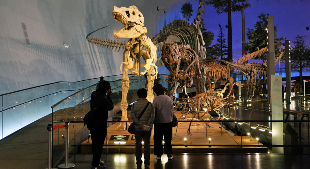 Fukui et ses dinosaures