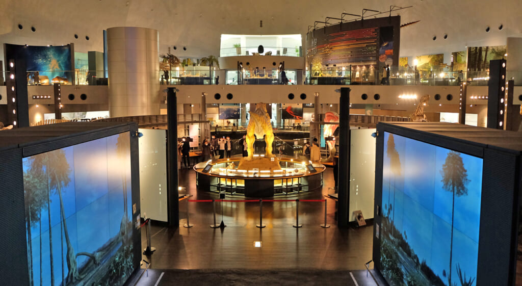 L'intérieur du musée