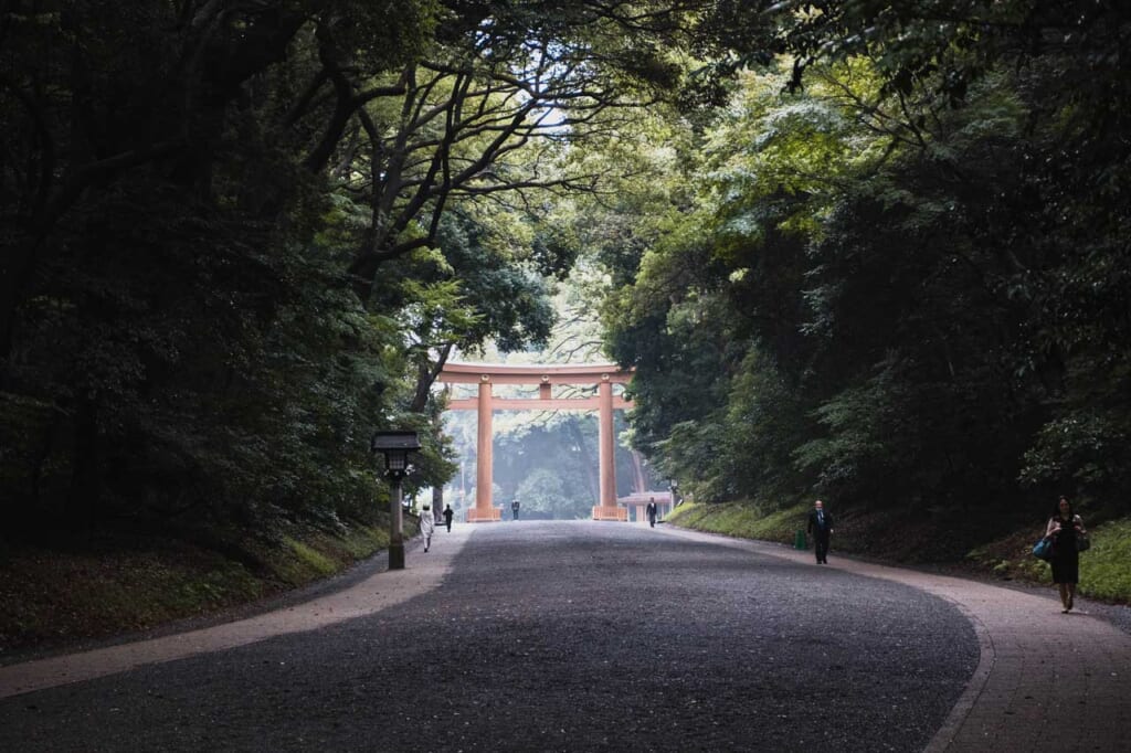 Grand torii du sanctaire Meiji Jingu à Tokyo, entouré par de grands arbres