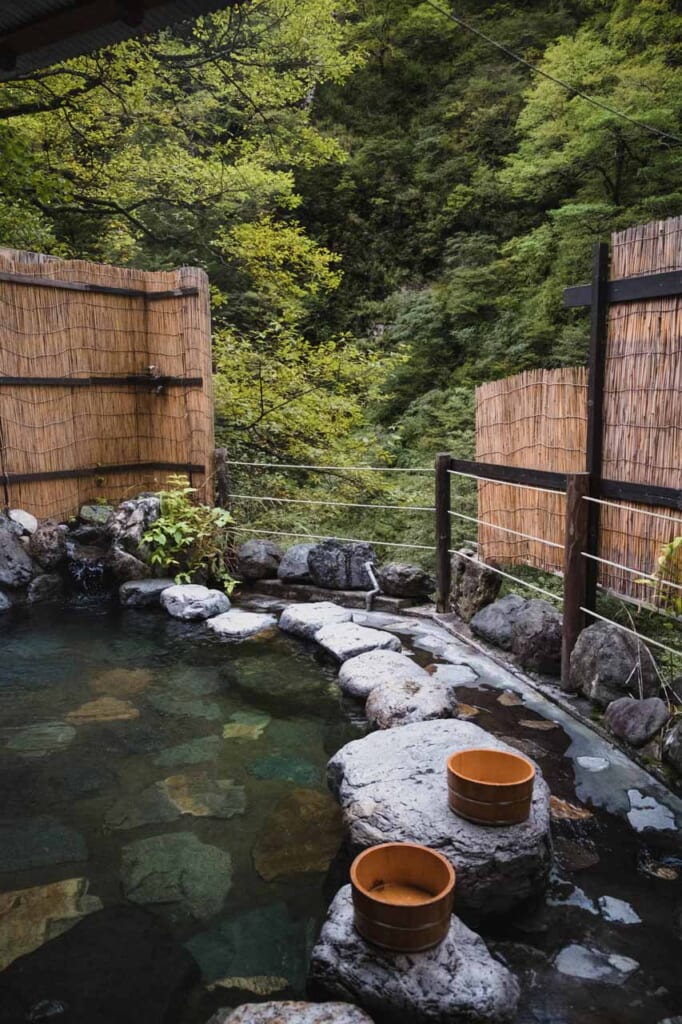 Onsen japonais en plein air dans la forêt