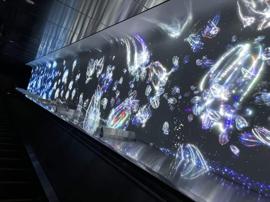 Des méduses de lumières dans l'escalator d'Enoshima