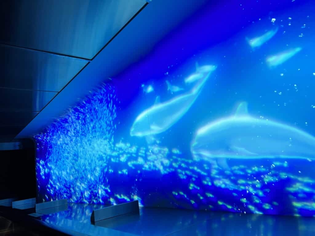 Des poissons lumineux projetés sur les écrans d'un escalator à Enoshima