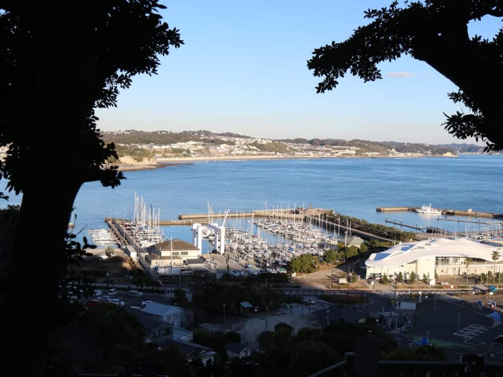 Vue sur le port de plaisance d'Enoshima depuis les hauteurs