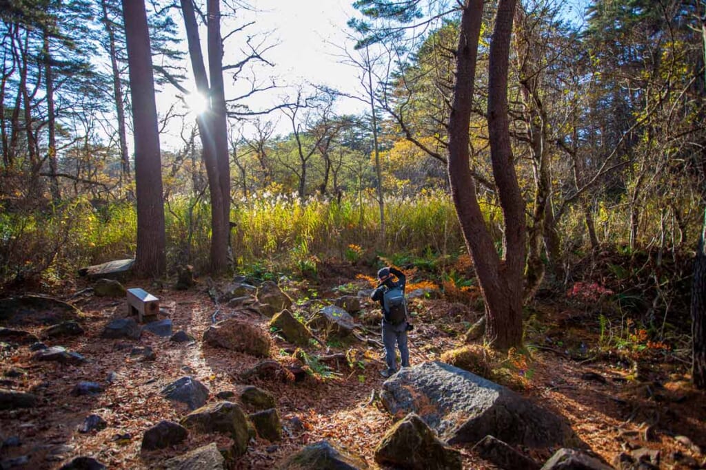 Nature japonaise au cours d'une randonnée dans le Tohoku