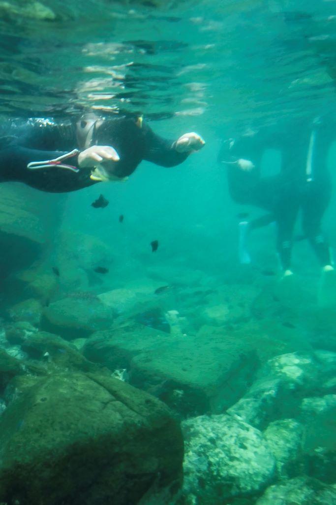 plongeur dans des eaux peu profondes